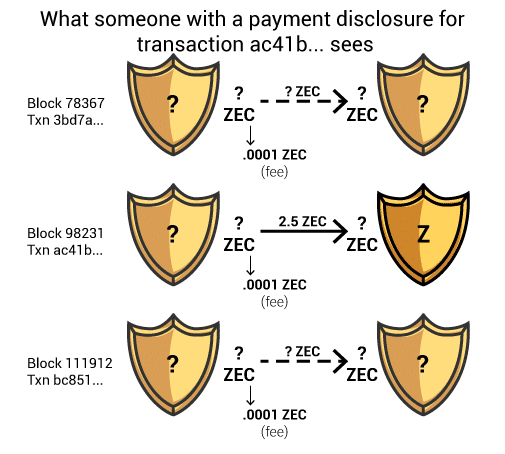 What data the owner of a payment disclosure for a specific transaction sees